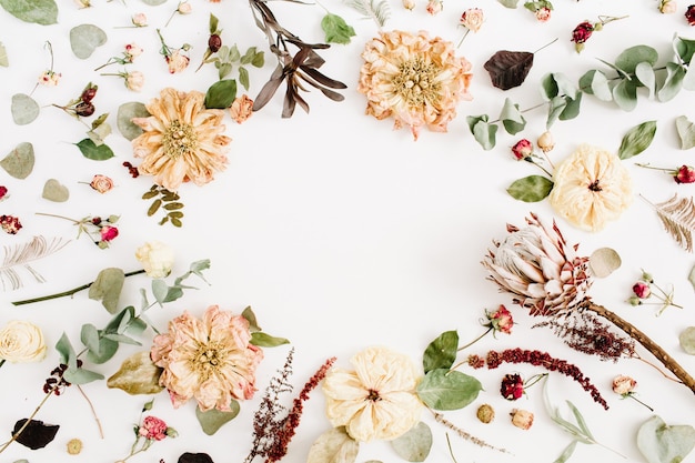 Grinalda com moldura redonda feita de flores secas: peônia bege, protea, ramos de eucalipto, rosas em branco