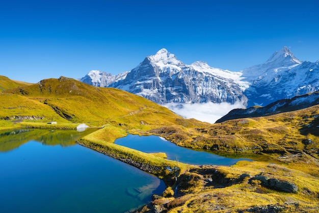 Grindelwald Schweiz Hohe Berge und Reflexion auf der Oberfläche des Sees Bergtal mit See Landschaft im Hochland im Sommer