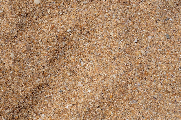 Grober Sand von Muscheln. Textur, Vorlage für Text. Natürlicher Sommerhintergrund.