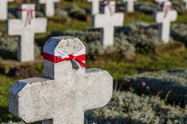Foto grodno bielorrússia 26 de outubro de 2018 grande cemitério militar muitas grandes cruzes de pedra branca bandeira polonesa um memorial moderno bem guardado