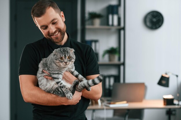 Foto groomer está cuidando do gato tabby escocês fold cinza dentro de casa