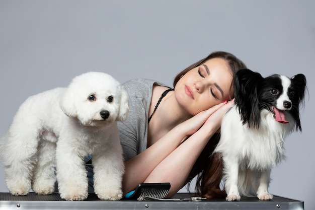 Groomer Mädchen posiert schlafend oder müde mit ihren Haustieren Bichon und Papillon