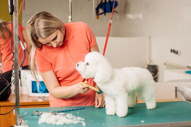 Grooming cão com ferramenta para queda de cabelo