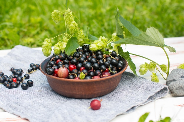 Groselhas pretas e vermelhas em um prato na natureza Colheita na aldeia