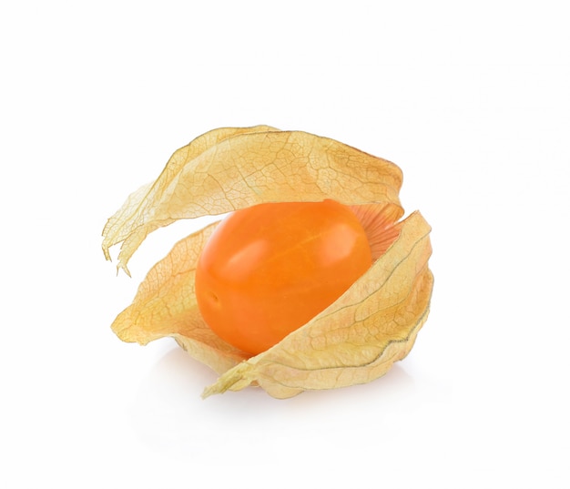 Grosella espinosa de cabo (physalis) aislado en blanco