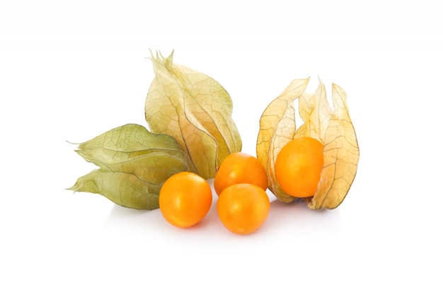 Grosella espinosa del cabo (physalis) aislado