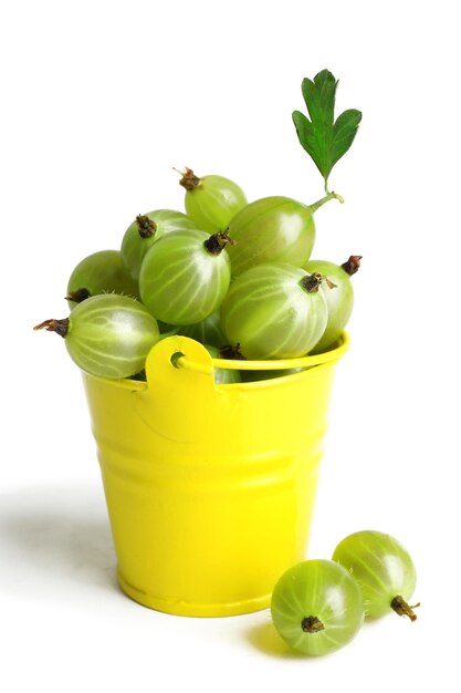 Grosella espinosa verde en balde aislado en blanco