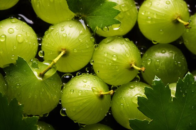 Grosella espinosa verde con gotas de agua closeup