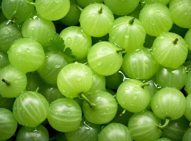 Grosella espinosa verde con gotas de agua closeup