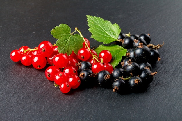 Grosella negra y roja, de cerca