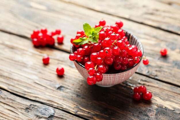 Grosella roja fresca con menta