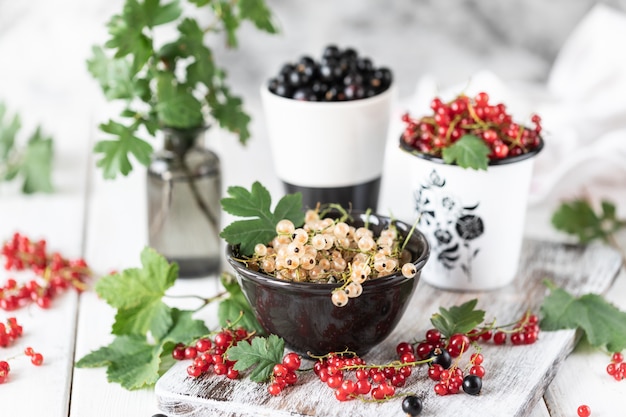 Grosellas frescas en una taza de cerámica: grosellas negras, grosellas rojas y grosellas blancas