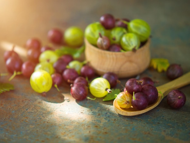 Grosellas en un recipiente sobre una superficie vieja hojas y bayas de grosellas rojas y verdes Recoger grosellas al estilo campestre