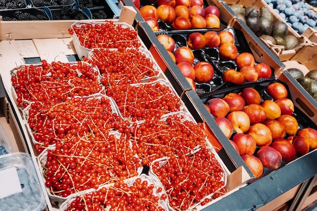 Grosellas rojas y melocotones y otras frutas a la venta en el supermercado o en el mercado de agricultores