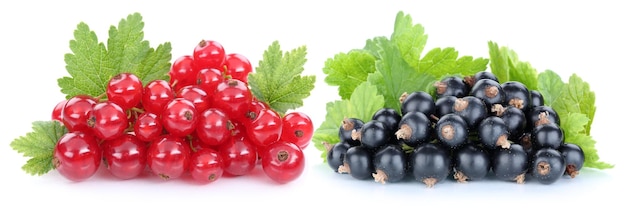 Grosellas rojas y negras grosellas bayas frutas frescas frutas aisladas en blanco