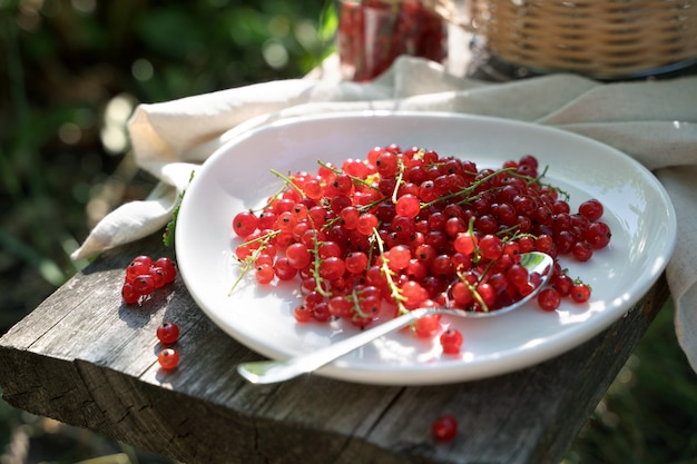 Grosellas rojas en un plato blanco sobre una tabla de madera en el jardín en el sol.