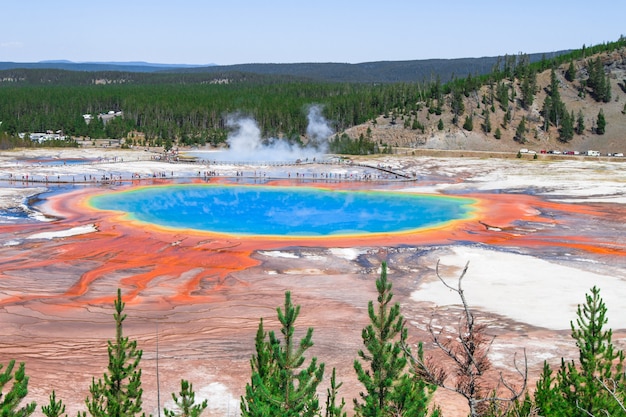 Großartiger prismatischer Frühling in Yellowstone Nationalpark in Wyoming, USA.