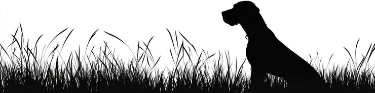Foto großdänischer silhouette deutscher jagdhund mastiff silhouetten