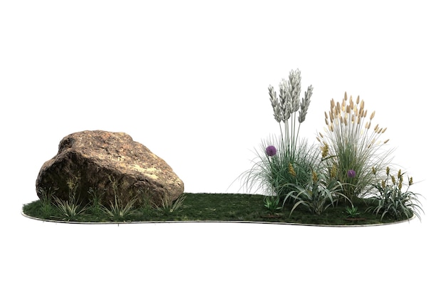 Große braune Felsen grünes Gras verschiedene Pflanzen lila Blüten