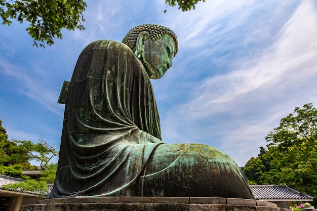 Große Buddha-Statue von Kotuku-im Tempel in Kamakura, Japan