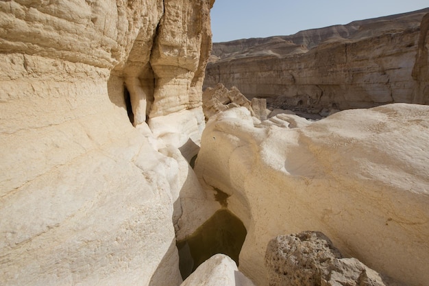 Große felsige Schlucht in der Judäischen Wüste. Israel