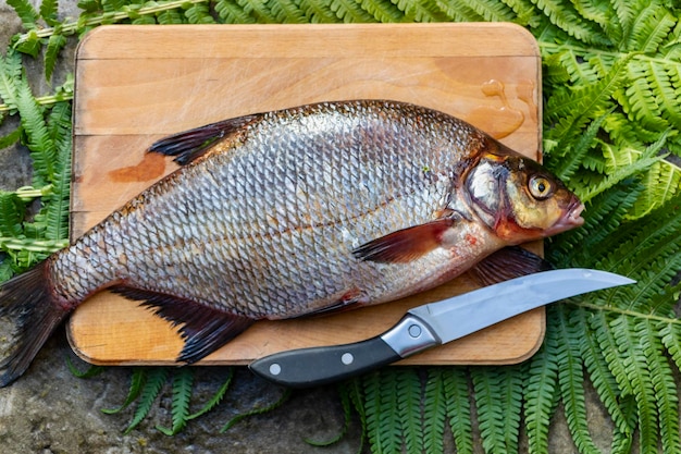 Große frische Brassen Frisch gefangener Flussfisch Ein Mann reinigt den Fisch von Schuppen Angeln zum Spinnen und Feeder Vorbereiten von Fisch zum Kochen