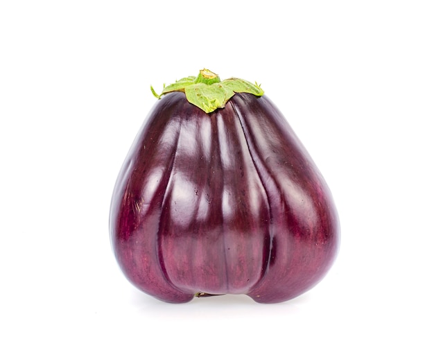 Große frische lila Aubergine