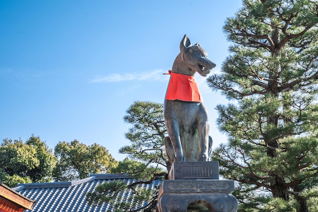 Große Fuchssteinstatue auf der Bühne im asiatischen Tempel des Fushimi Inari-Schreins (Fushimi Inari Taisha) in Japan.