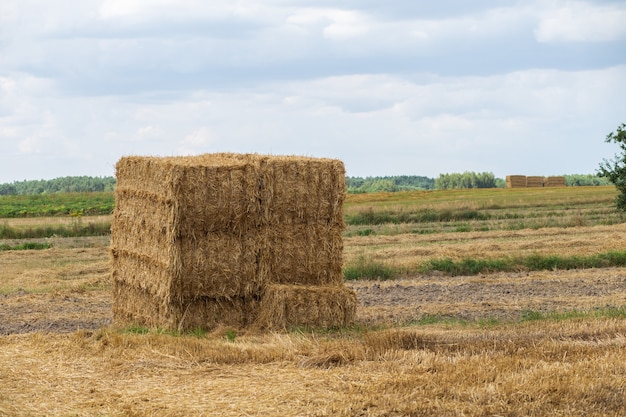 Große Garbe Heu auf dem Feld