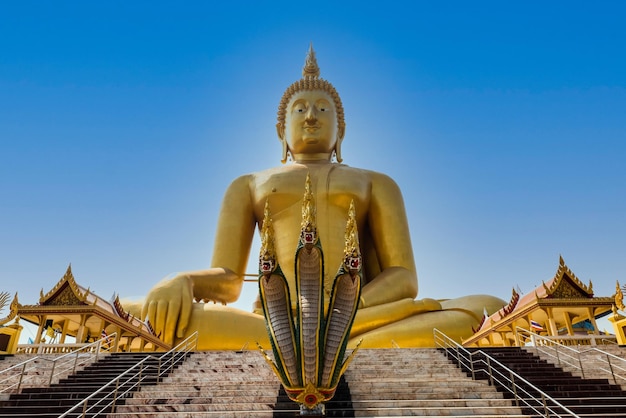 Große goldene Buddha-Statuen mit Schlange vorne in Tanga Thailand xA