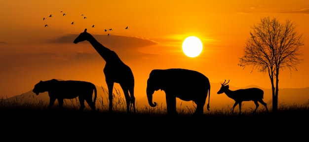 Große Gruppe afrikanischer Safari-Tiere. Naturschutzkonzept