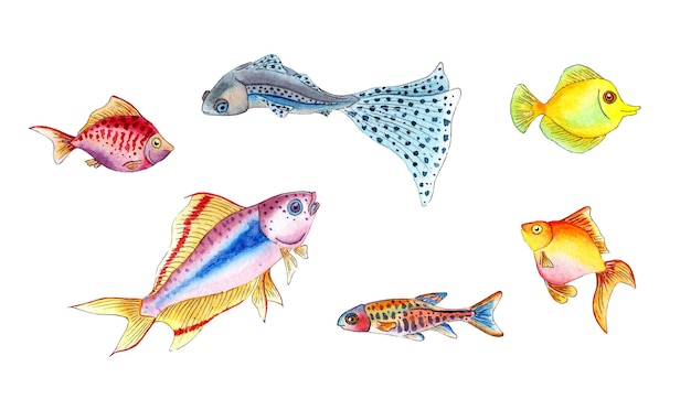 Große Reihe von Aquarellillustrationen von kleinen bunten Fischen Aquarienfische Meereslebewesen Tropen