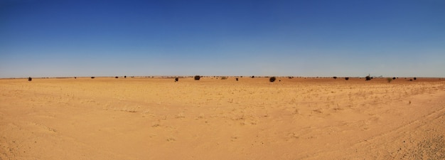 Große Sahara, Afrika