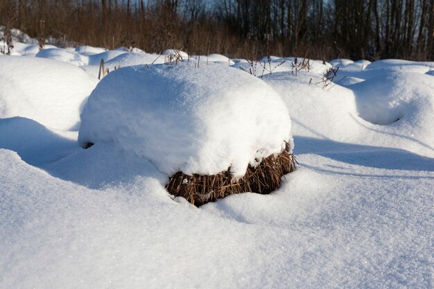 Große Schneeverwehungen