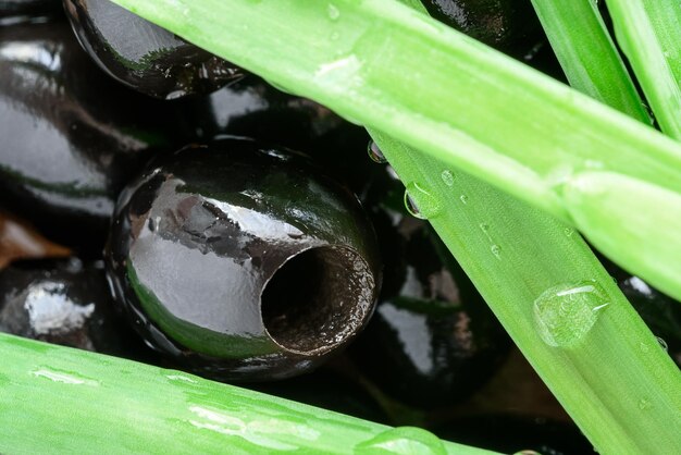 Große schwarze Oliven auf dem Tisch