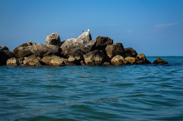 Große Steine im Meer und eine Möwe sitzt darauf