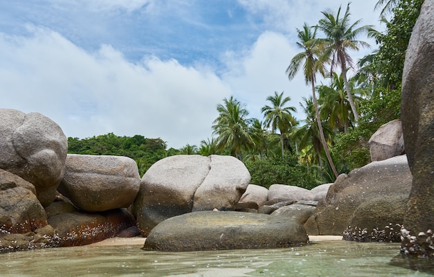 Große Steine im Wasser. Ko Tao. Thailand.