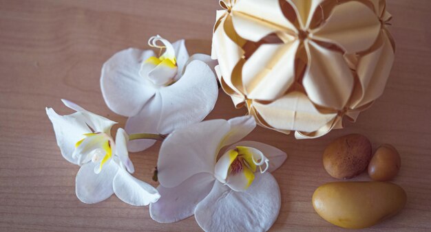 Große weiße Orchideenblüten auf braunem Hintergrund