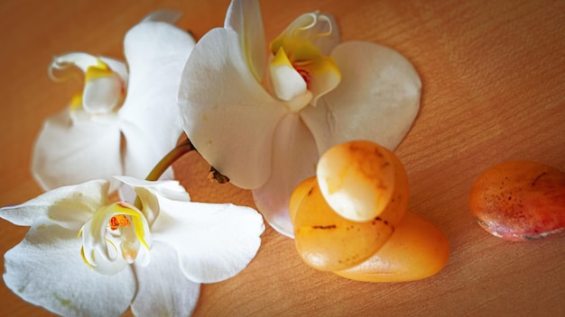 Große weiße Orchideenblüten auf braunem Hintergrund