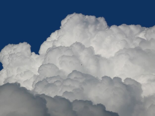 Große weiße Wolken vor blauem Himmel. Vogel im Flug.