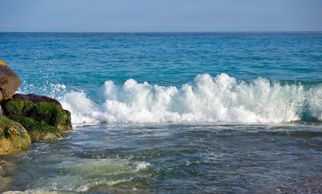 Große Welle bricht