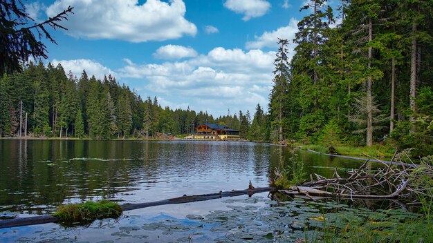 Großer Arbersee im Bayerischen Wald