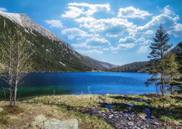 großer Bergsee mit Forelle