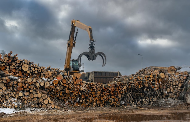 Großer gelber Industrielader in einem Industriegebiet, der bereit ist, Holzstämme in einem Schredder zu verpacken