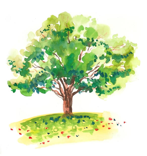 Großer grüner Baum und blühendes Feld. Tusche- und Aquarellzeichnung