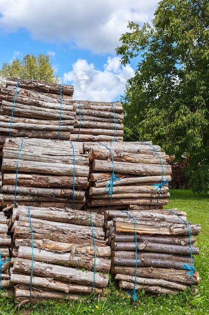 Großer Haufen von Holzstämmen bündelt auf einem ländlichen Hintergrund. Vertikale Aufnahme