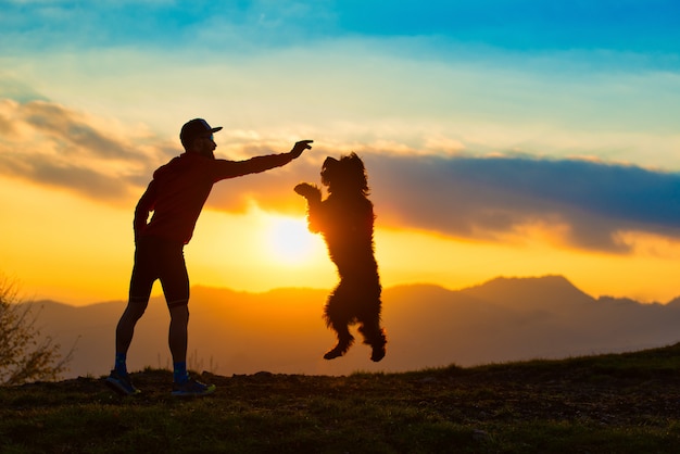 Großer Hund, der springt, um einen Keks von einer Mannschattenbild mit Hintergrund bei bunten Sonnenuntergangsbergen zu nehmen