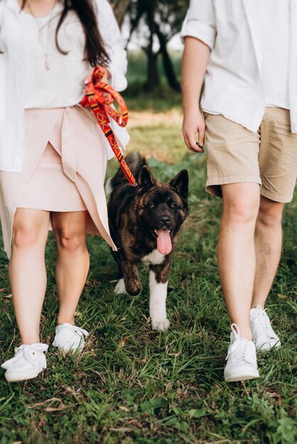 Großer Hund für einen Spaziergang mit einem Kerl und einem Mädchen auf der grünen Prärie