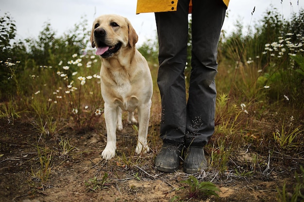 Großer Hund in der Nähe eines anonymen Meisters zwischen grünen Pflanzen