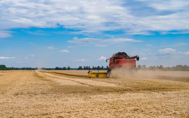 Großer landwirtschaftlicher Mähdrescher Riesige rote landwirtschaftliche Maschine, die auf dem Feld arbeitet